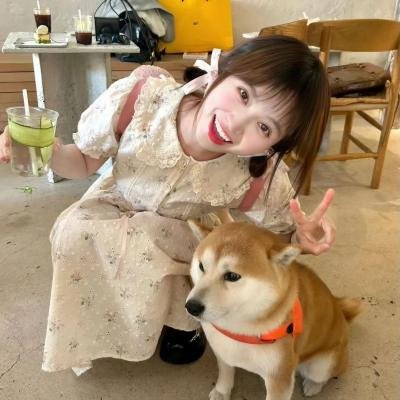 花样中年粤语