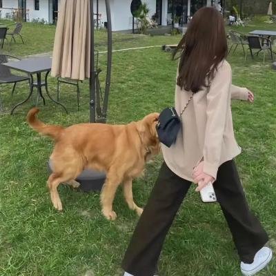 我是大哥大